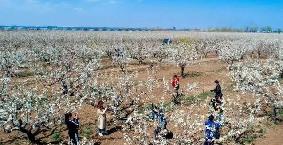 微信截图_20230310152913.jpg
